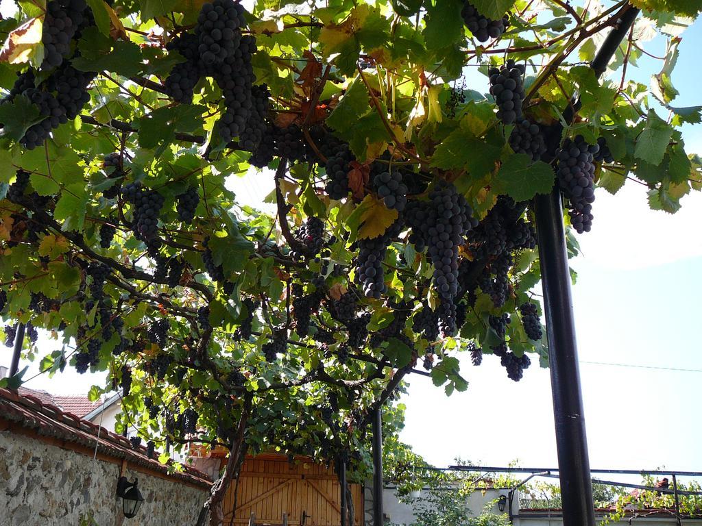 Guesthouse Argacho Stob Екстериор снимка